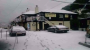 Spy in the snow  